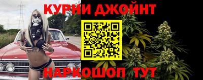 стаф Обнинск