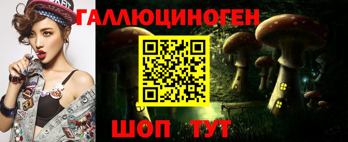 Новочебоксарск  Галлюциногенные грибы GOLDEN TEACHER  Вход с VPN 