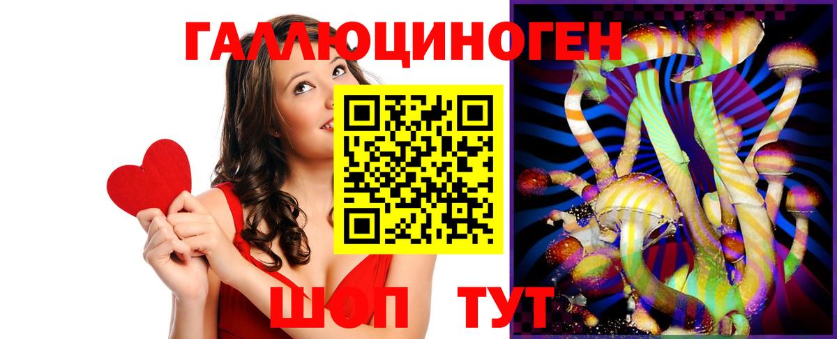 Псилоцибиновые грибы Psilocybine cubensis Новочебоксарск